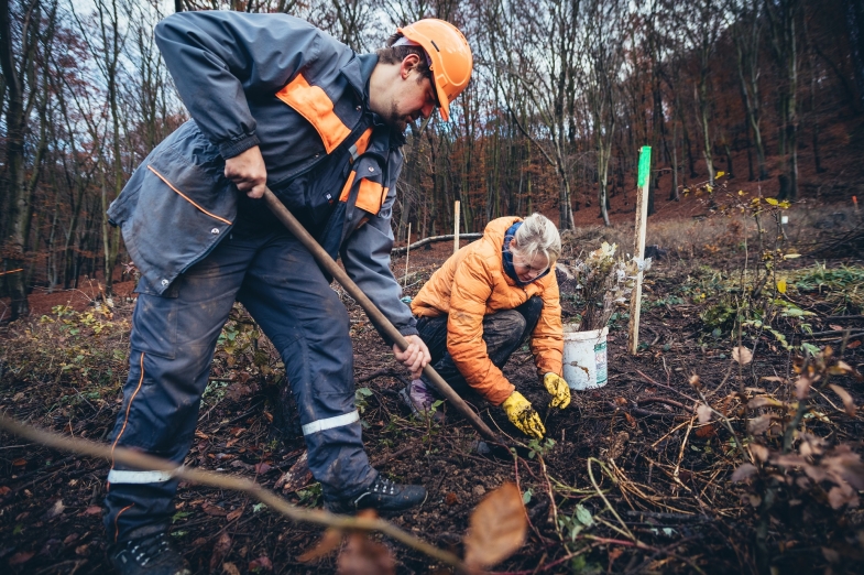ČEZ vlastními silami zasadí strom za každého zaměstnance v ČR 